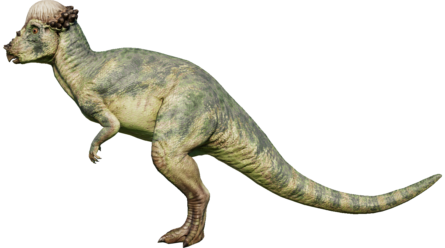 Categorypachycephalosaurs Jurassic World Evolution Wiki Fandom Powered By Wikia 0799