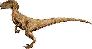 Velociraptor | Jurassic World Evolution Wiki | FANDOM powered by Wikia