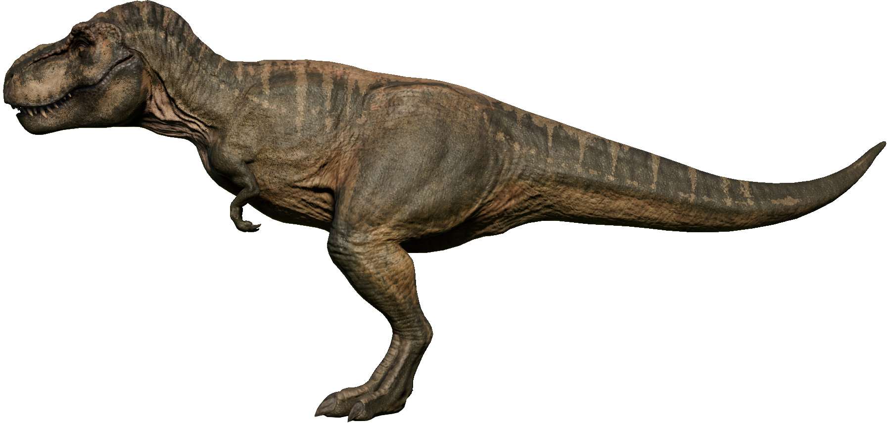 t rex jurassic world evolution
