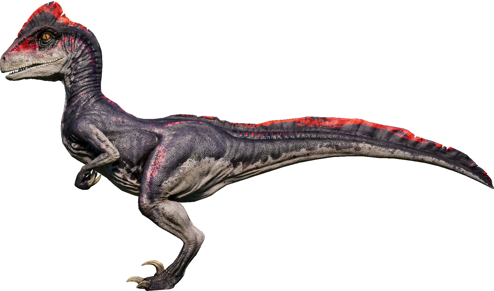 velociraptor jwe