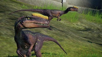 proceratosaurus jwe