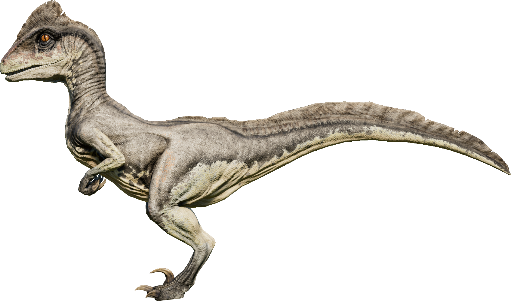 deinonychus velociraptor