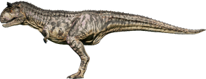 carnotaurus evolution