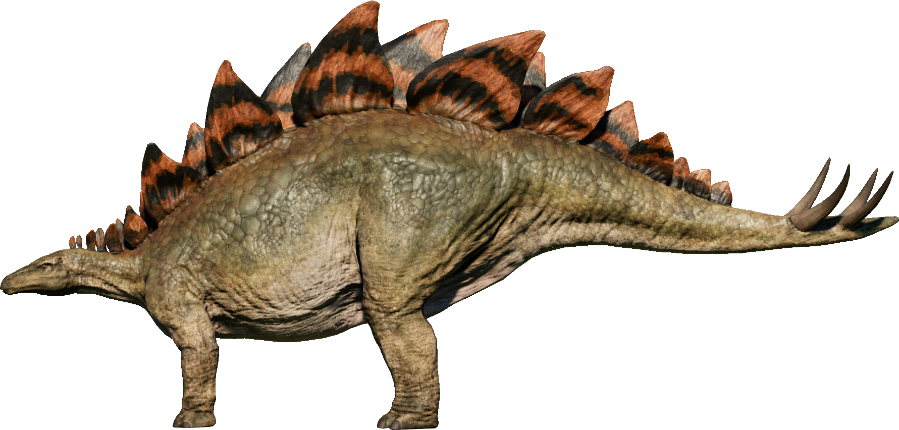 Image result for stegosaurus