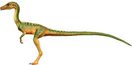 jw evolution compsognathus