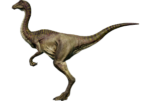 Gallimimus | Jurassic World Evolution Wiki | FANDOM powered by Wikia