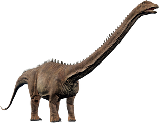 Diplodocus | Jurassic World Evolution Wiki | Fandom