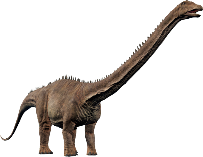 a diplodocus