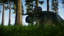 jurassic world evolution nasutoceratops