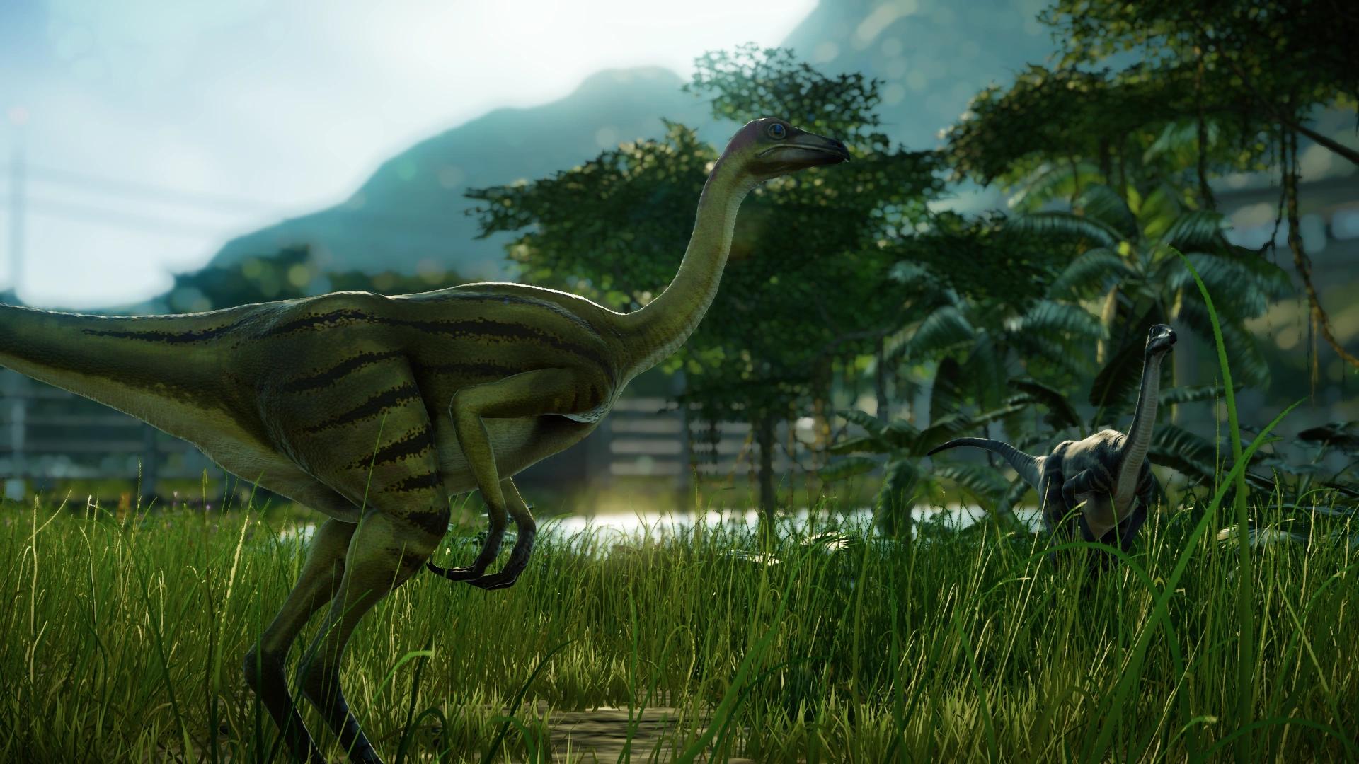 Struthiomimus Jurassic World Evolution Wiki Fandom