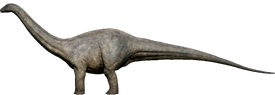 apatosaurus evolution