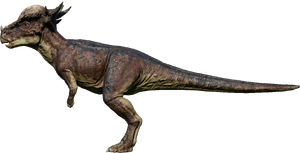 jwe stygimoloch