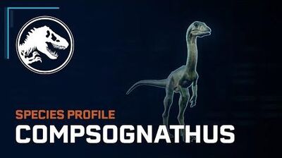 Compsognathus | Jurassic World Evolution Wiki | Fandom