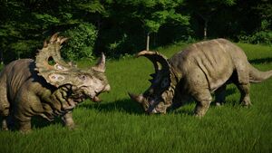 jurassic world 2 sinoceratops