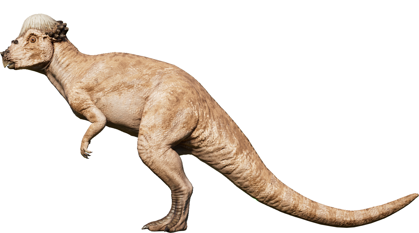 pachycephalosaurus jurassic world evolution pachycephalosaurus jurassic world evolution