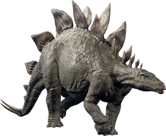 different types of stegosaurus
