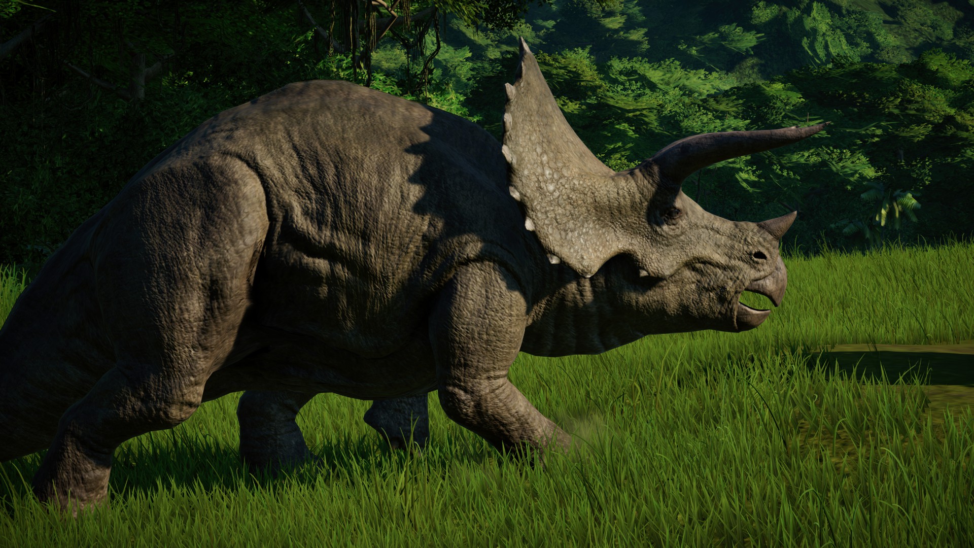 triceratops jurassic world evolution