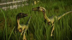 jurassic world compsognathus