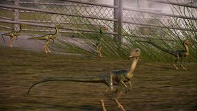 jurassic world fallen kingdom compsognathus