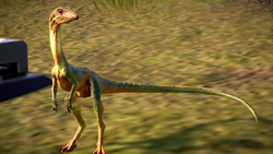 jurassic park 3 compsognathus