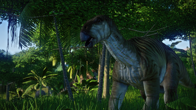 JWEIggy