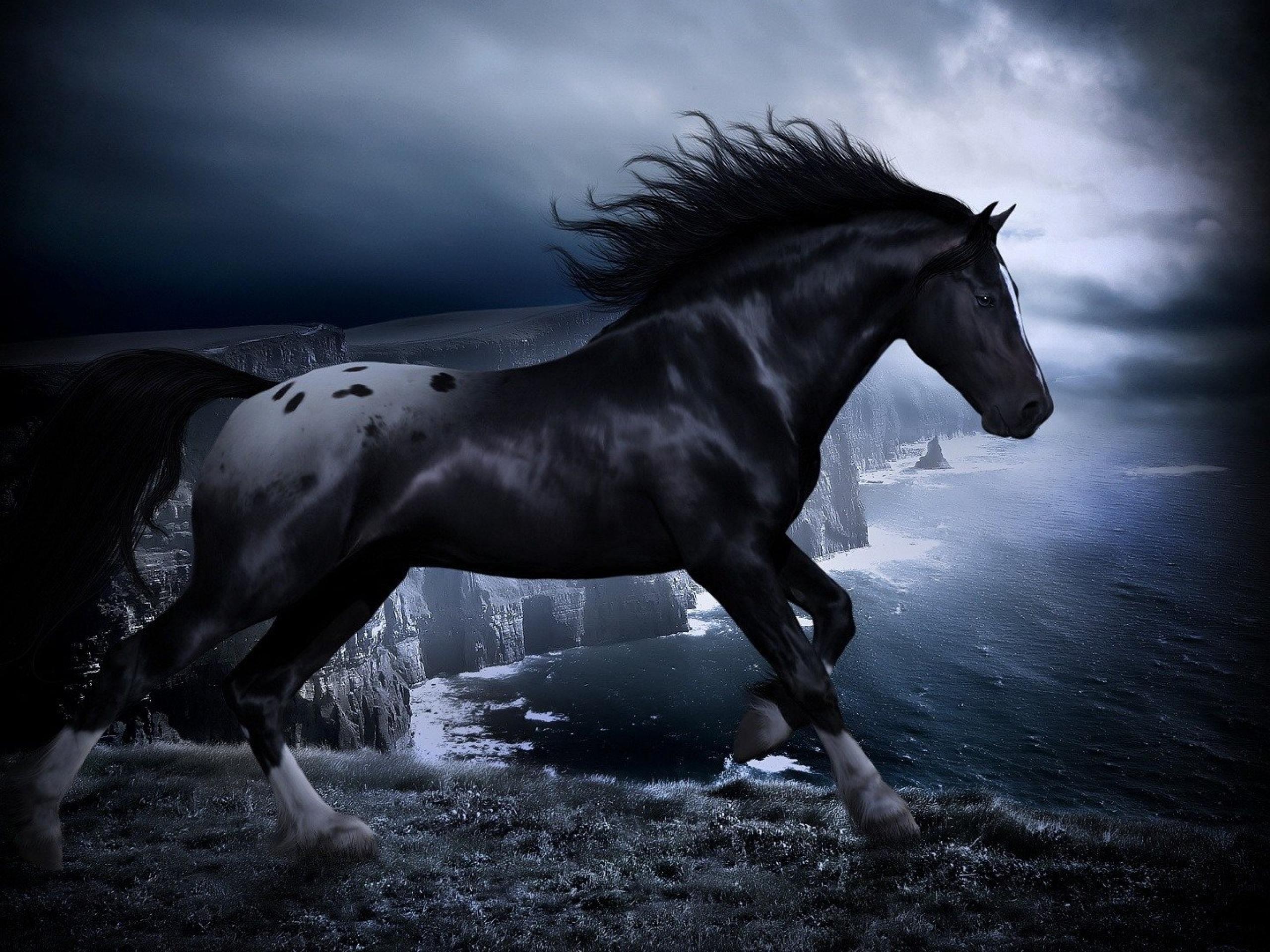カッコ良くて癒される 馬の高画質な画像 壁紙まとめ 写真まとめサイト Pictas