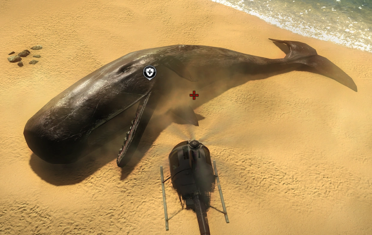 still large enough for this elite team of panauan ninjas to hide