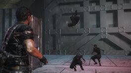 Ninjas