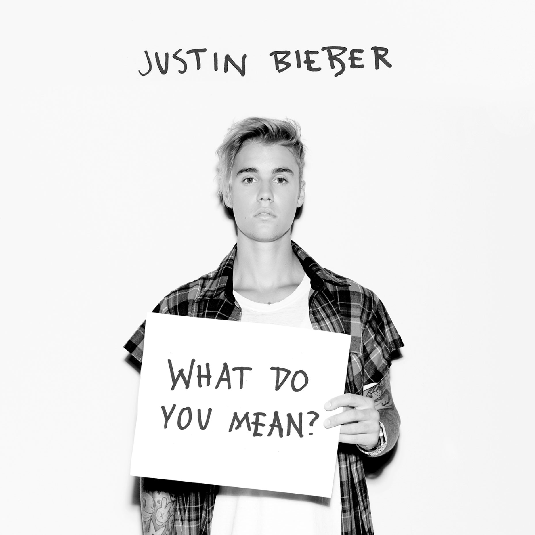 what-do-you-mean-justin-bieber-wiki-fandom-powered-by-wikia