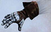 AC2 Metal Cestus