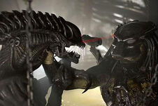 Alien-vs-predator