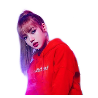 Download Lisa Sook Jyp Stars Wiki Fandom For iPhone