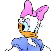 Kaczka Daisy Kaczor Donald Wiki Fandom