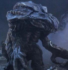 Orga 1