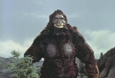King kong