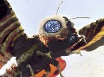 Mothra.jpg.