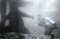 Godzilla Shoots Underwater