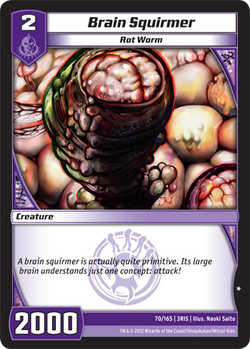 Brain Squirmer (3RIS)