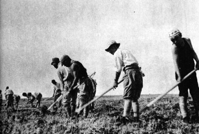 File:Korean Farmers.jpg
