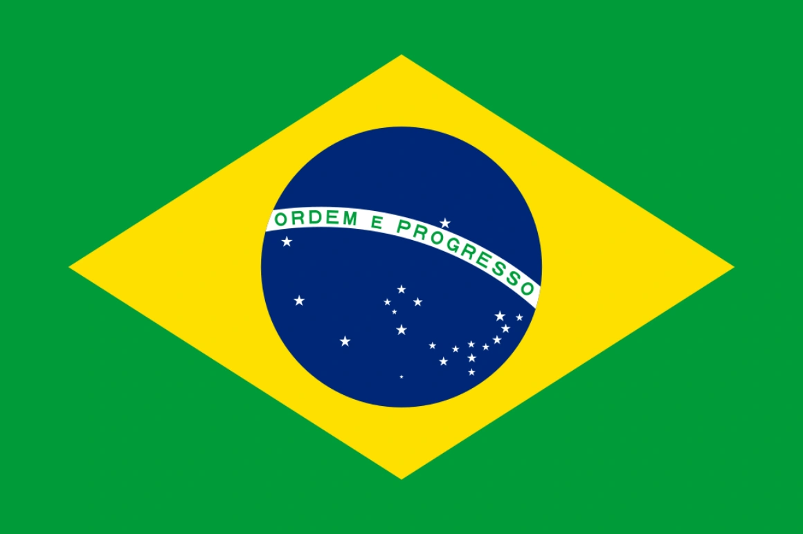 Image result for brazilian flag' integralist