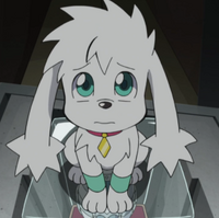 Get Wallpaper Roko Kaitou Joker Wiki Fandom Free