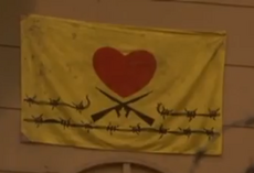 HLAFlag