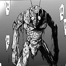 Hybrid Insector Kamen Rider Wiki Fandom