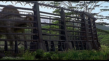 Spino Gif