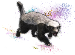 Ratel