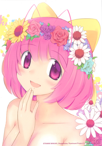 Wallpaper Nakagawa Kanon Starring Nao Toyama 2nd Album Colors The World Free