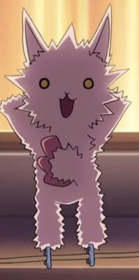Electrocuted Wildcat