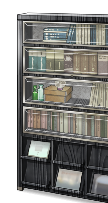 Study bookshelf