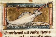 Der naturen bloeme KB Monocheros