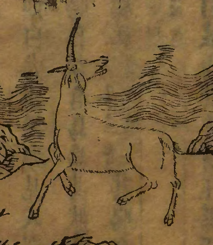 File:Shan Hai Jing Dongdong.png